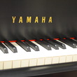 2015 Yamaha C2X conservatory grand - Grand Pianos